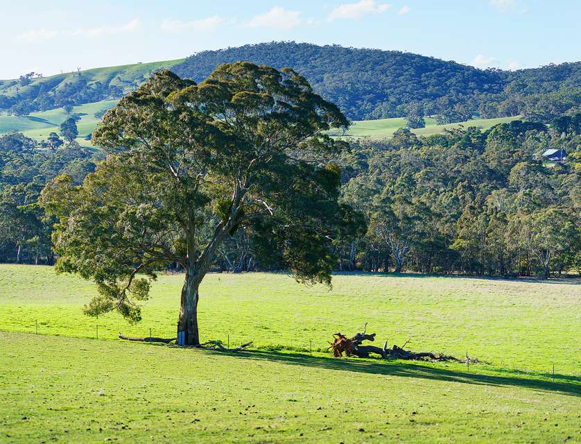 LOT Lot 63 Rhymney Road, Norval, Horsham, 0 ห้องนอน, 0 ห้องน้ำ, Lifestyle Property
