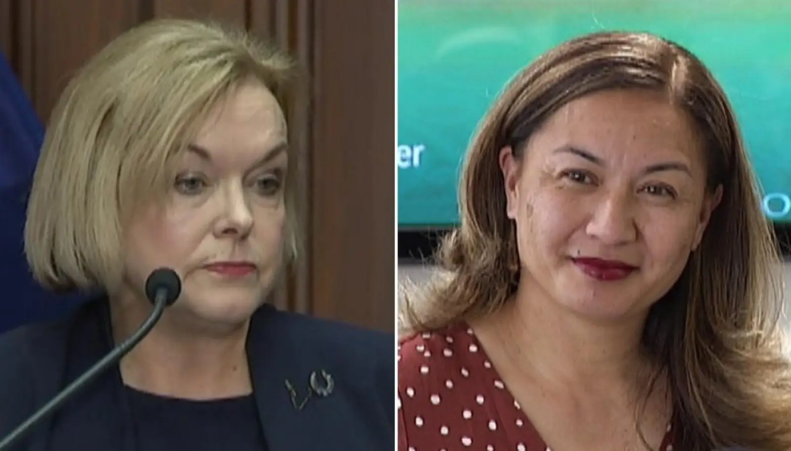 Judith Collins为国家党辩护：最大的多元性是思想多元性
