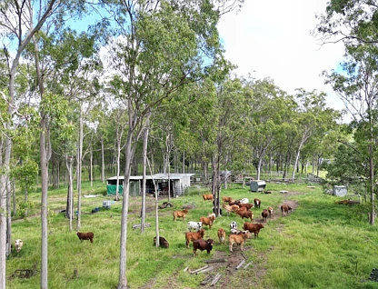 Lot 3 Devil Mountain Road, Sexton, Wide Bay, 0 habitaciones, 0 baños, Lifestyle Property