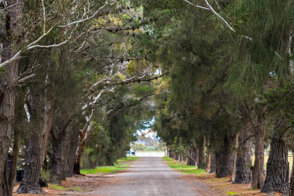 2249 Midland Highway, Bannockburn, VIC 3331