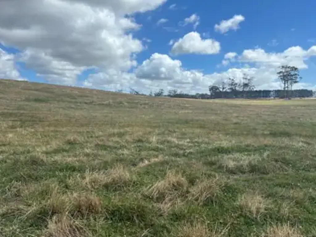 Scopus  Prime Dairy Runoff Block - 100 Acres - Scopus, Tasmania