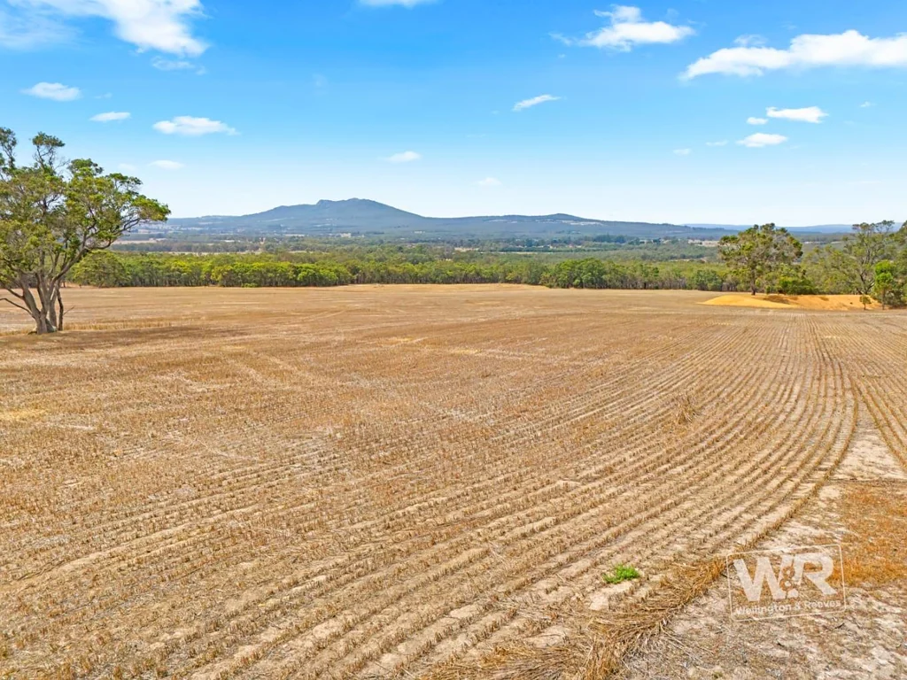 Mount Barker NATURAL BEAUTY & AGRICULTURAL POTENTIAL