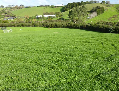 地址保密, Matakana, Rodney, 0 ਕਮਰੇ, 0 ਬਾਥਰੂਮ, Section
