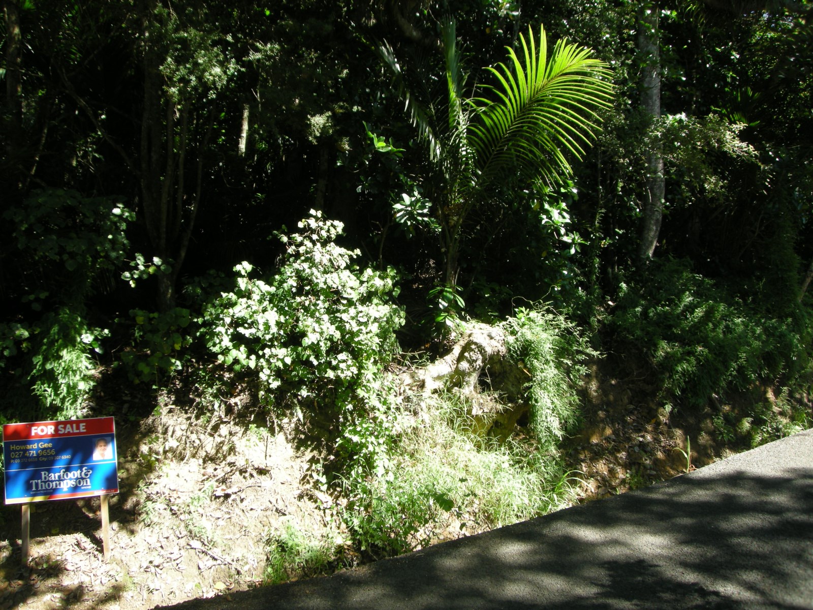 Hauraki Gulf Islands