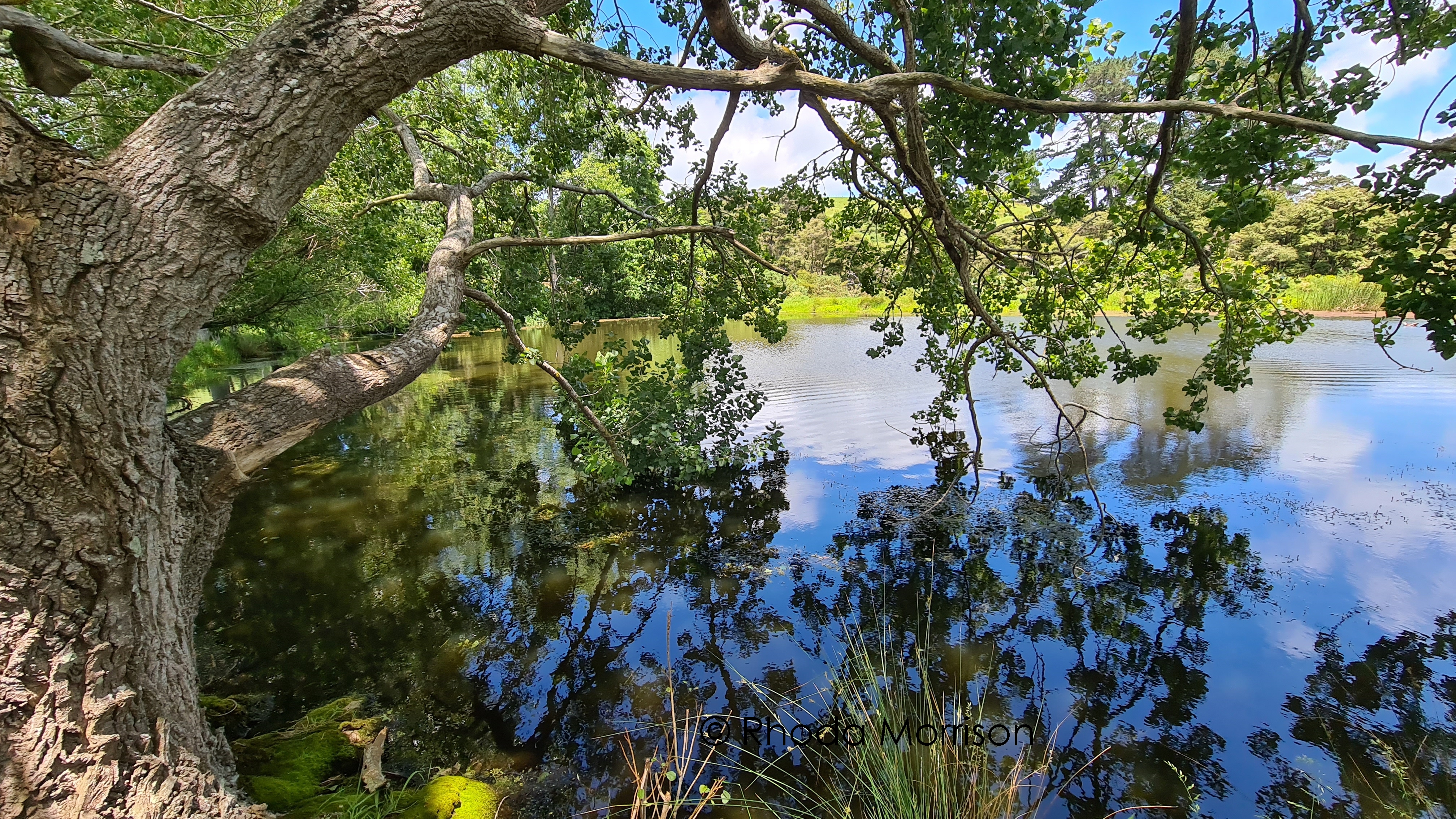 535 Whakapirau Road, Whakapirau, Kaipara, 4部屋, 3バスルーム