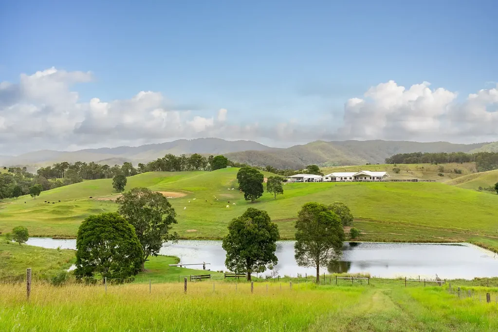 Laceys Creek 8房  'Young Hills'  'Young Hills'