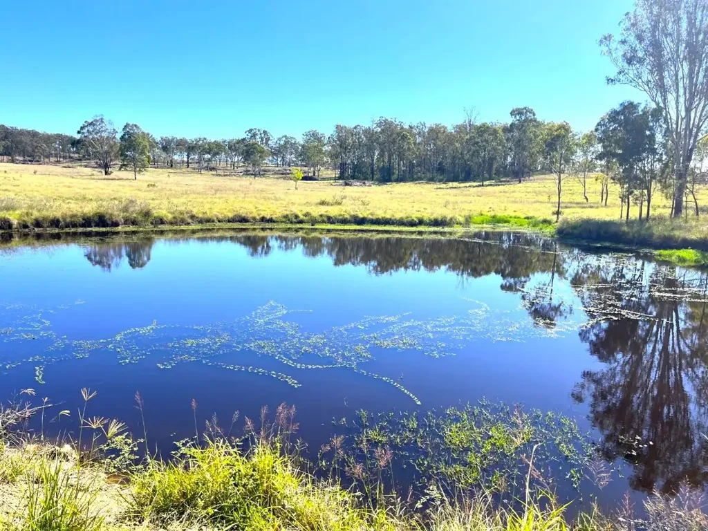Goodger Rural and Lifestyle Opportunity – South Burnett