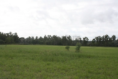 Adres Weerhou, Bungadoo, QLD 4671, 0 slaapkamers, 0 badkamers, Lifestyle Property