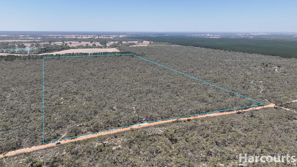 Edenhope Tranquil Bush Block for Sale - Embrace Nature's Beauty!