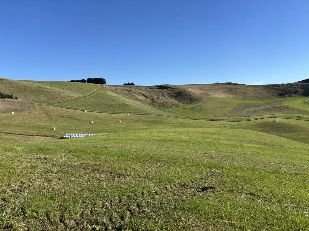 Five Forks and Surrounds Rural opportunity in the heart of North Otago