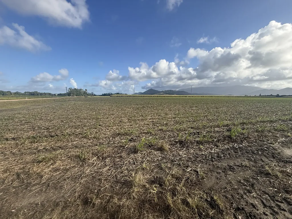 Silkwood  36.3 ha Cane farm at Silkwood with internal Creek