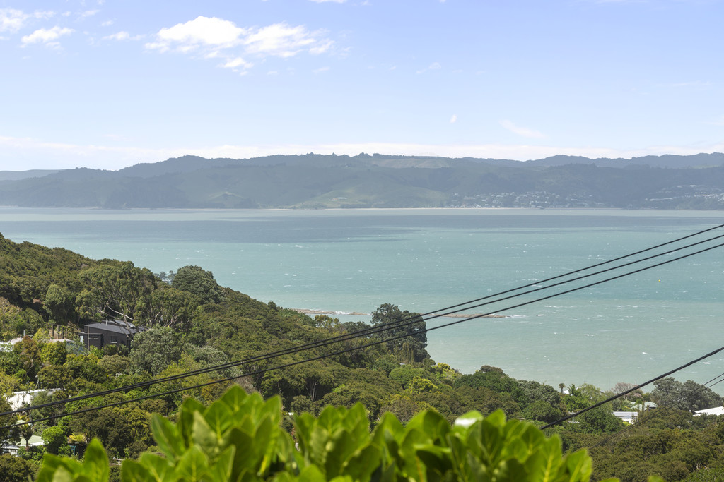 100 Fairview Crescent, Omiha, Auckland, 2 rūma, 0 rūma horoi