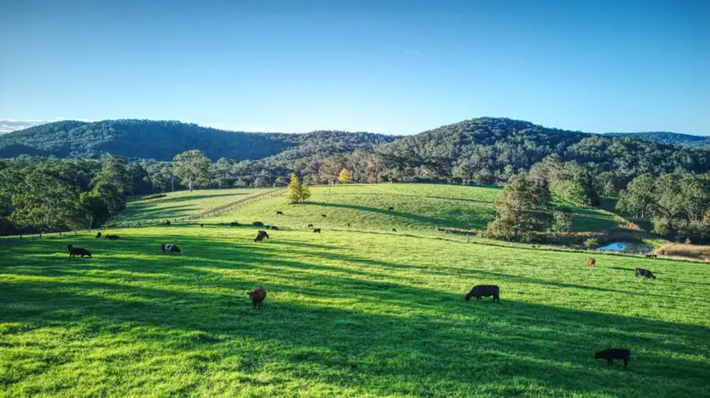 Dorrigo  The Complete Package - River Frontage, Modern Home & Productive Farmland