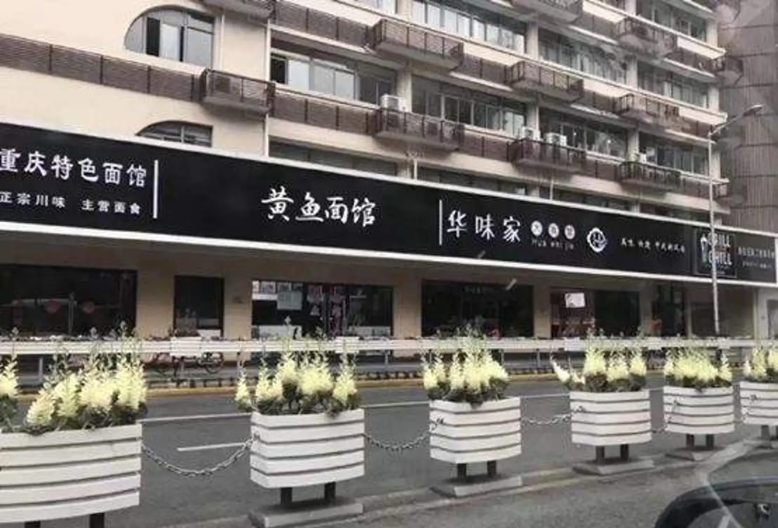 审美匮乏并不可怕,可怕的是懒惰和傲慢