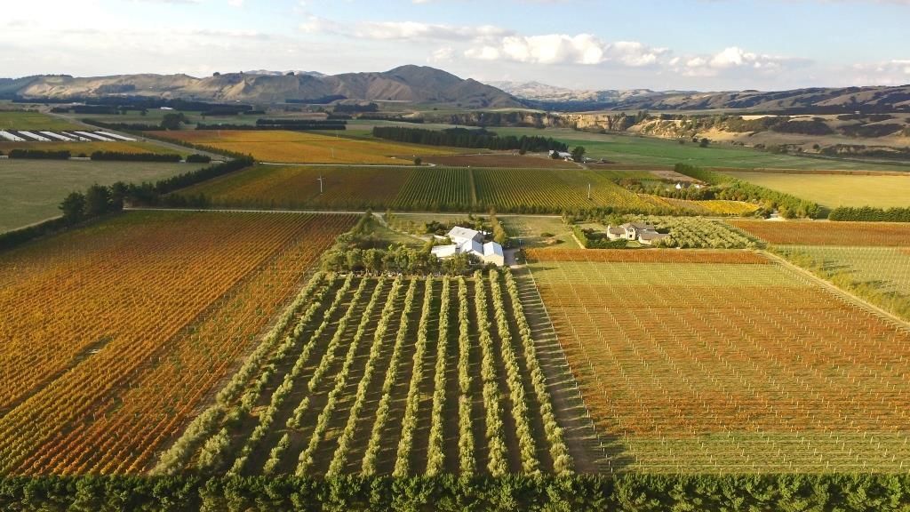 Te Muna Road, Martinborough, South Wairarapa, 0 غرف, 1 حمامات