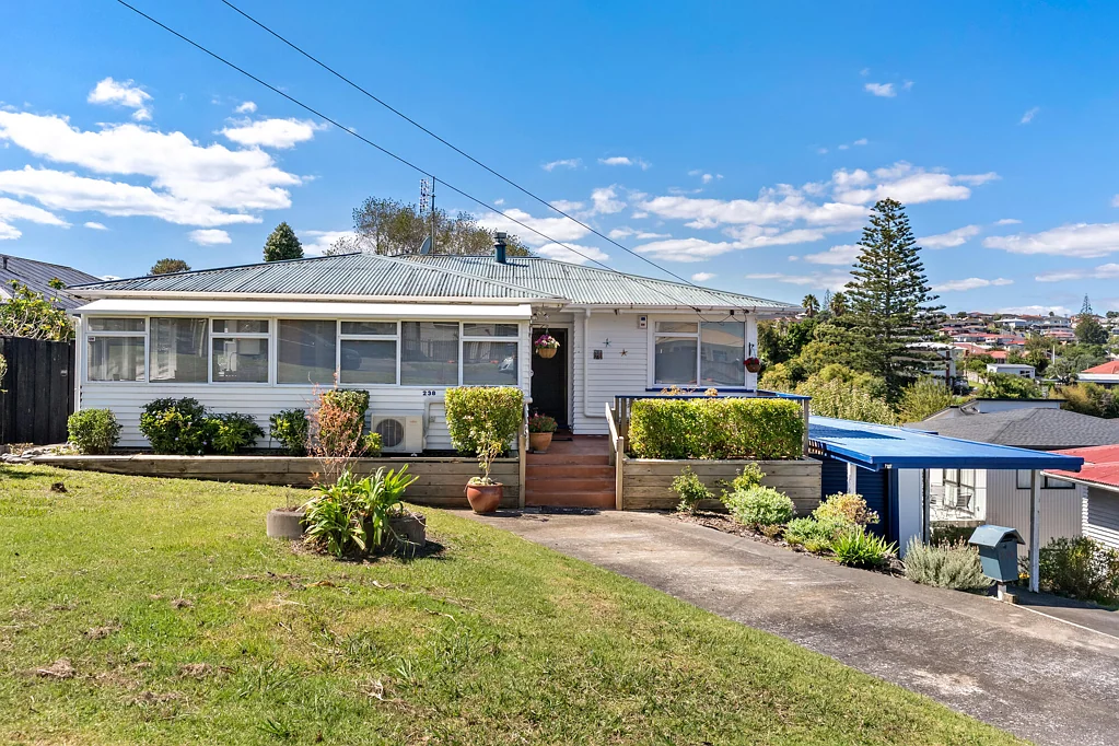 238 New Windsor Road, New Windsor, Auckland City, Auckland