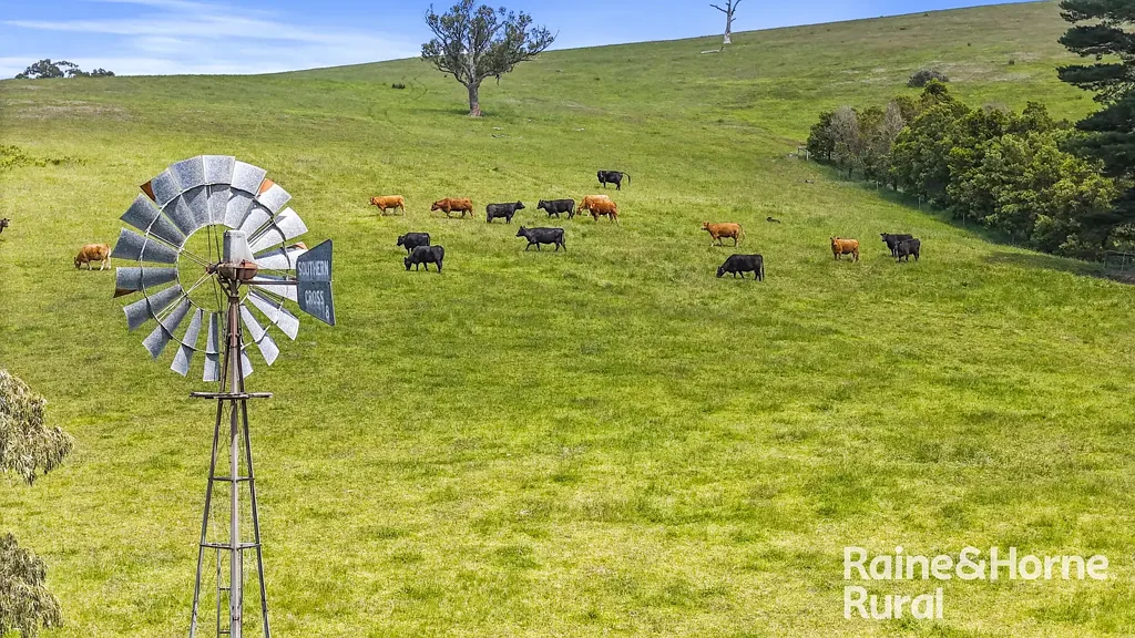 Hindmarsh Valley 'CRESSBROOK' - A visual feast of nature, architecture & opportunity on 146 idyllic acres over 3 titles.