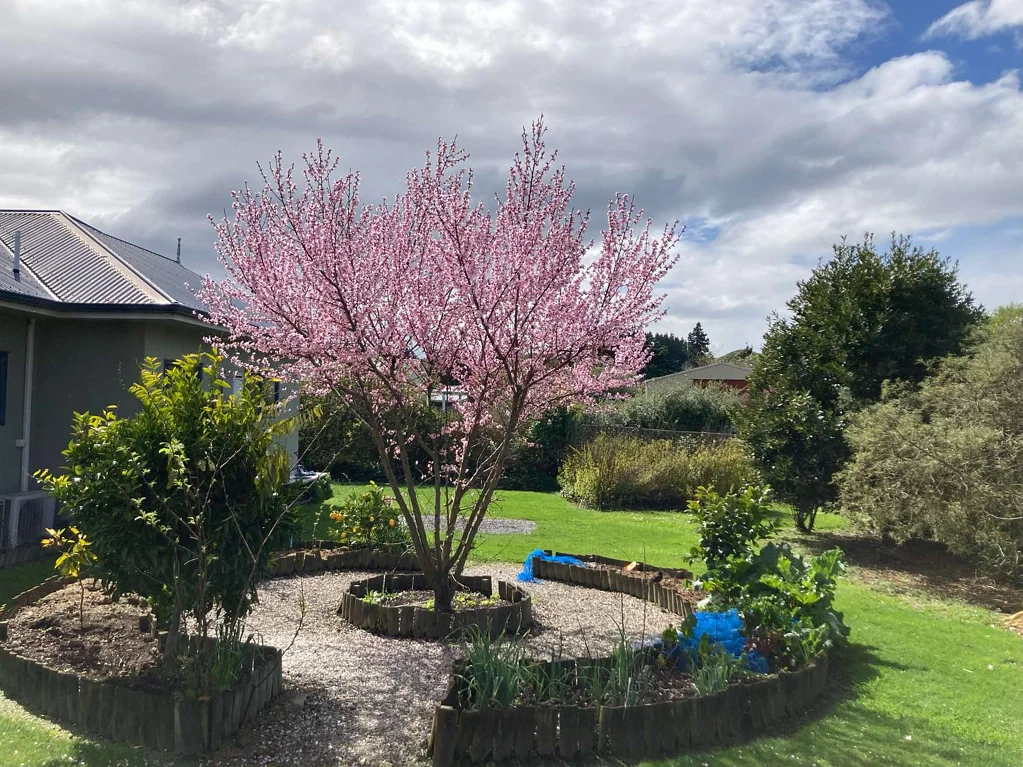 Hunterville 4房  A home that meets all needs.