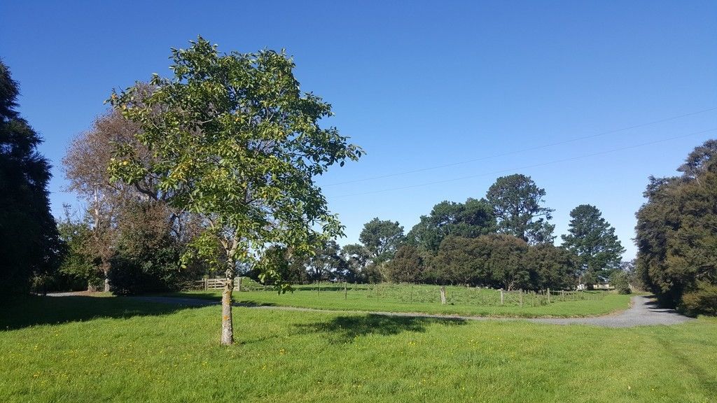 234 Parsons Road, Hapuku, Kaikoura, 4 habitaciones, 2 baños