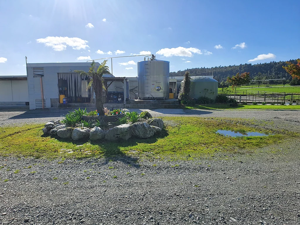 Harihari Established dairy farm offering scope for future