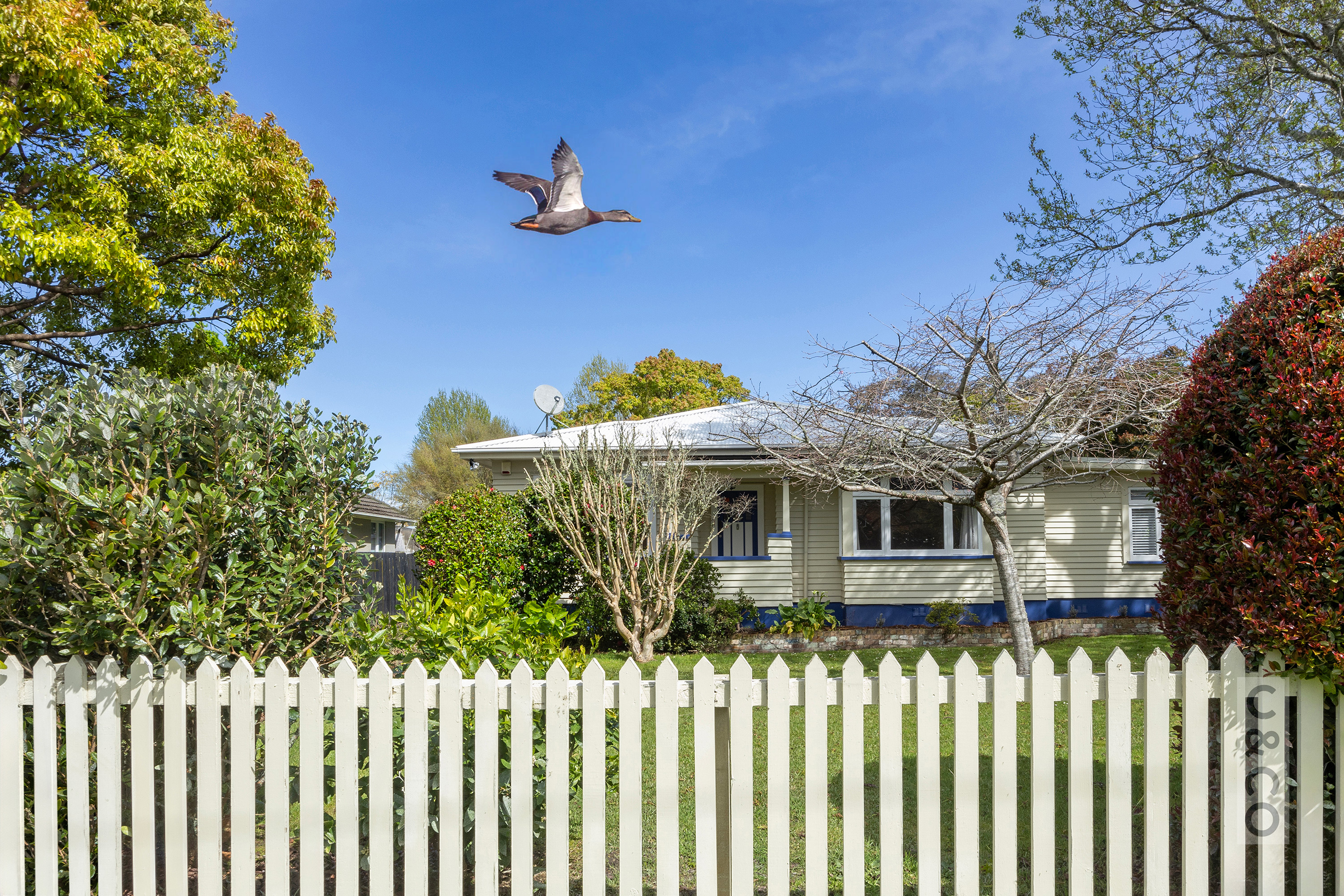 6 Albert Street, Riverhead, Auckland - Rodney, 3 rūma, 1 rūma horoi, House