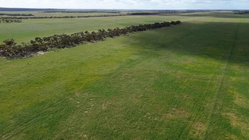Warramboo Warramboo cropping and grazing
