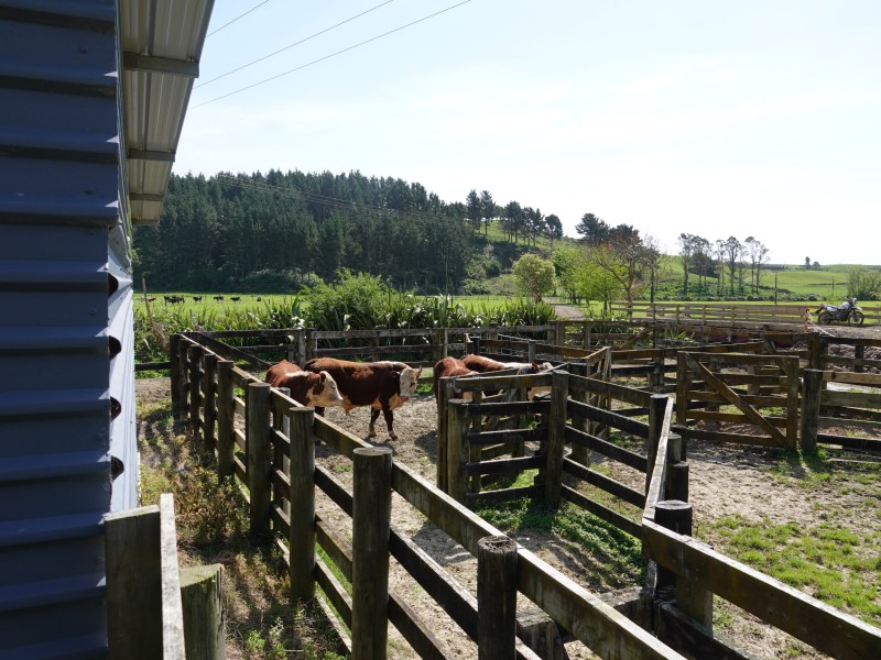 294 Tirohanga Road, Opotiki Coastal, Opotiki, 0 Bedrooms, 0 Bathrooms, Dairy