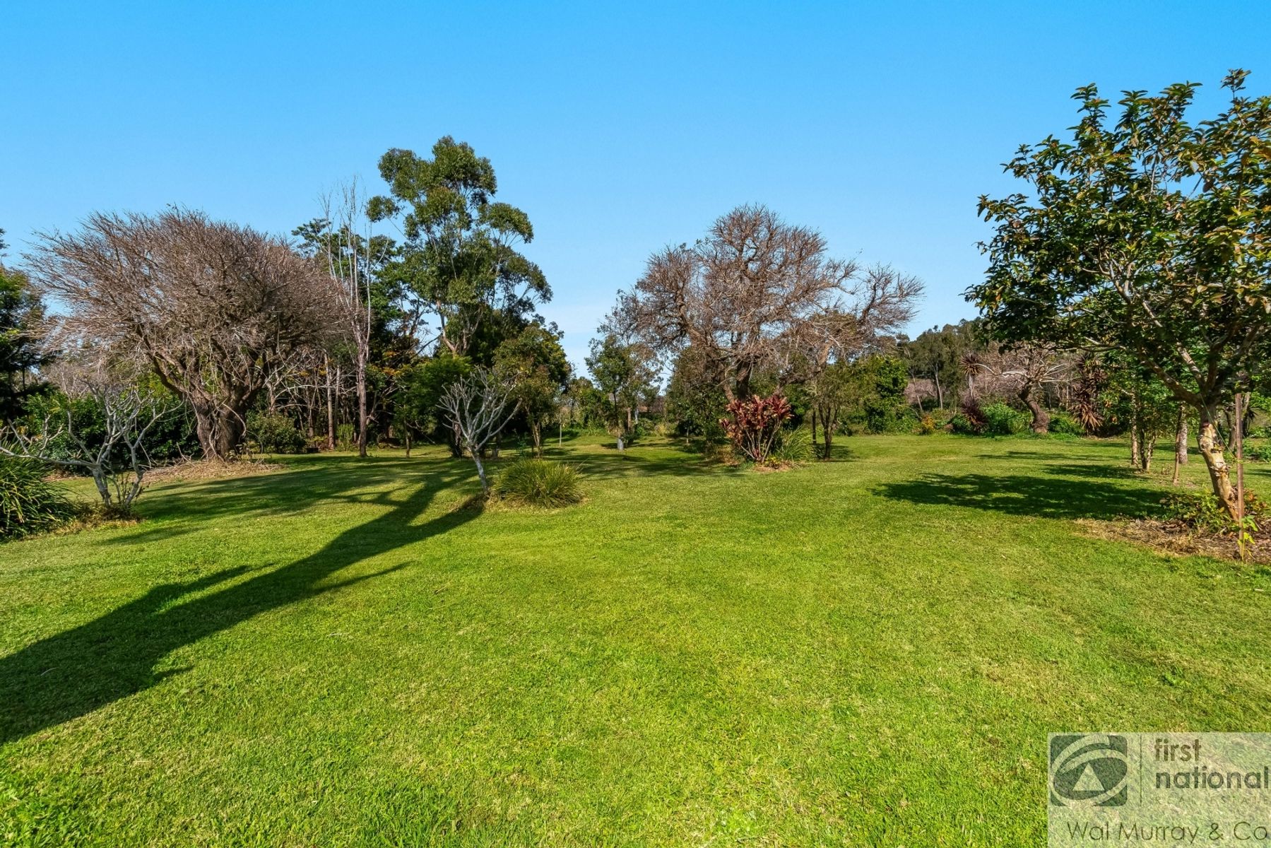 29 SANDY POINT RD, MONALTRIE NSW 2480, 0 Bedrooms, 0 Bathrooms, Lifestyle Property