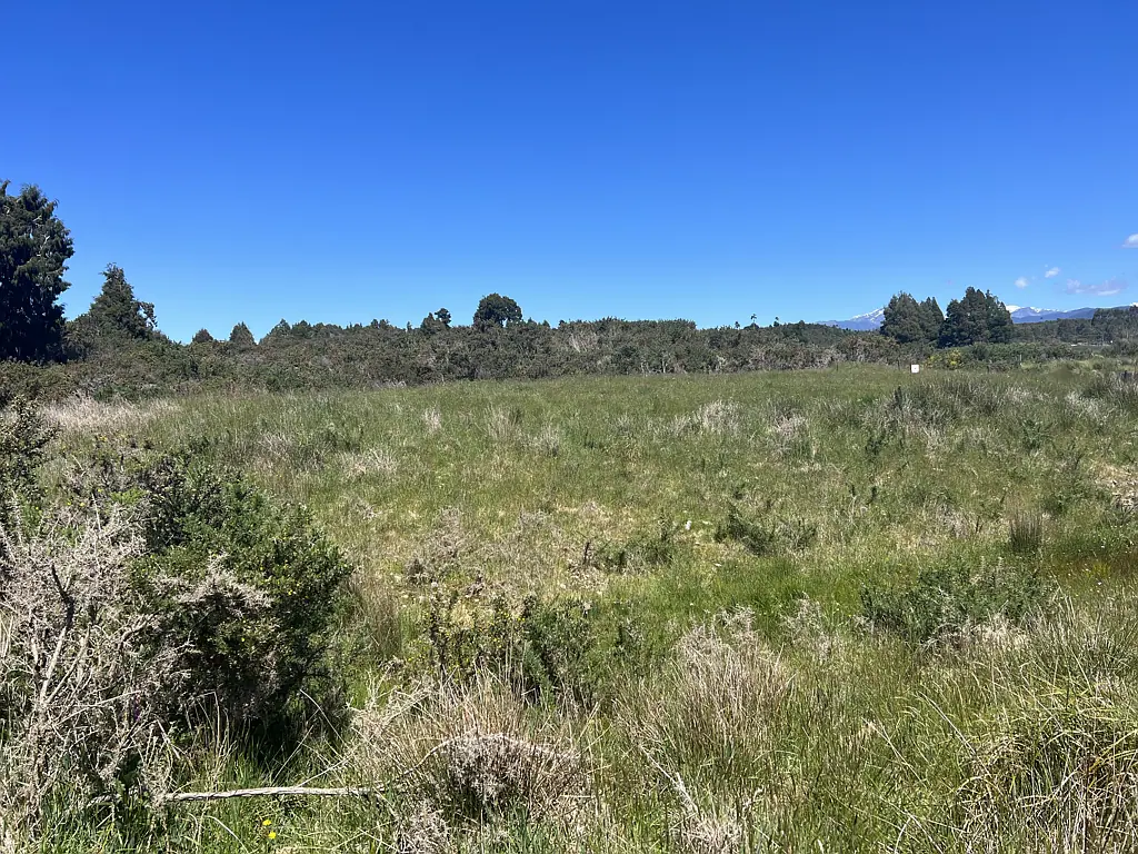 Hokitika A Great Spot with Terrific Neighbours
