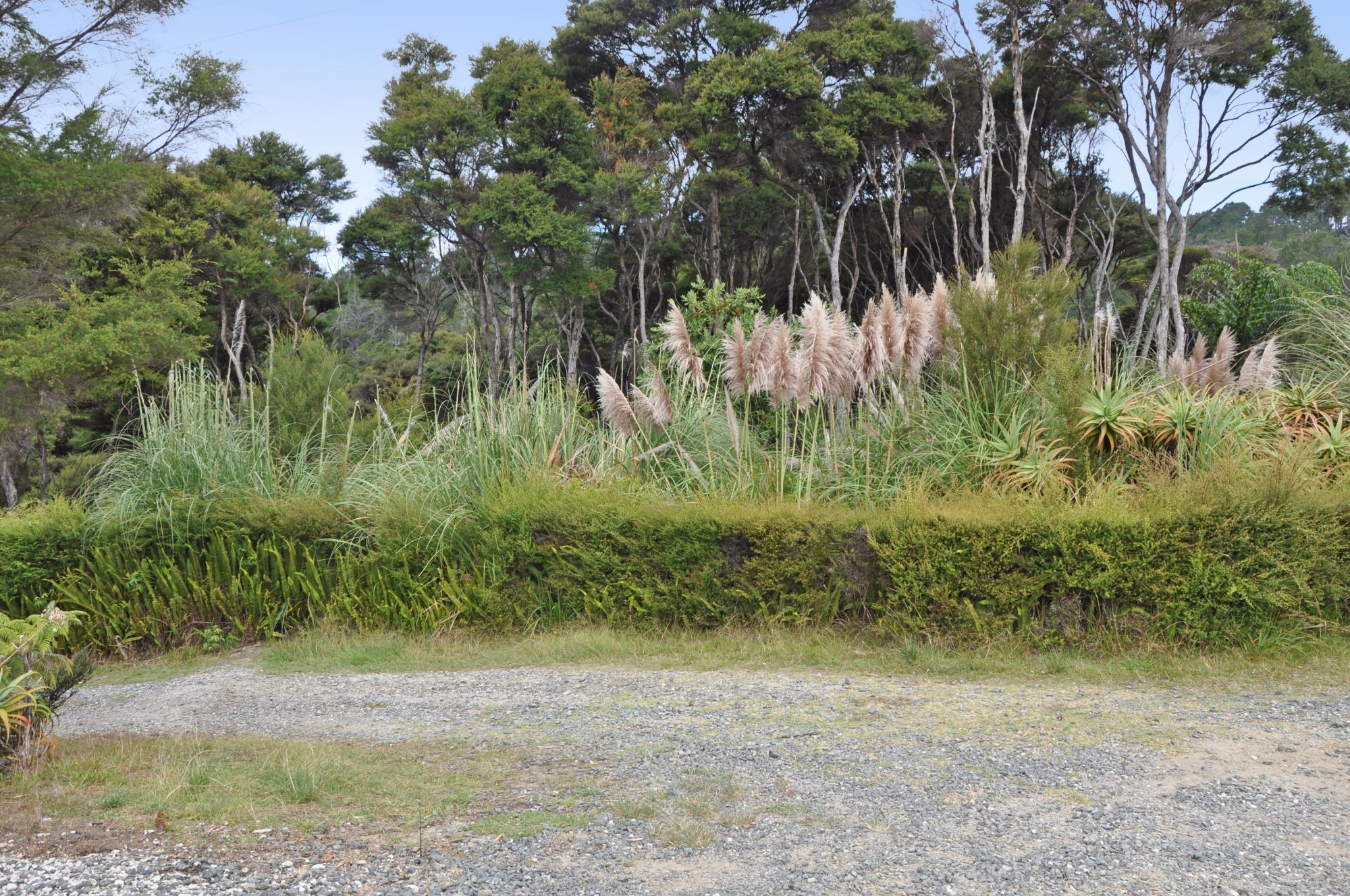 6 Lavinia Place, Kawau Island, Auckland - Rodney, 0 Schlafzimmer, 0 Badezimmer