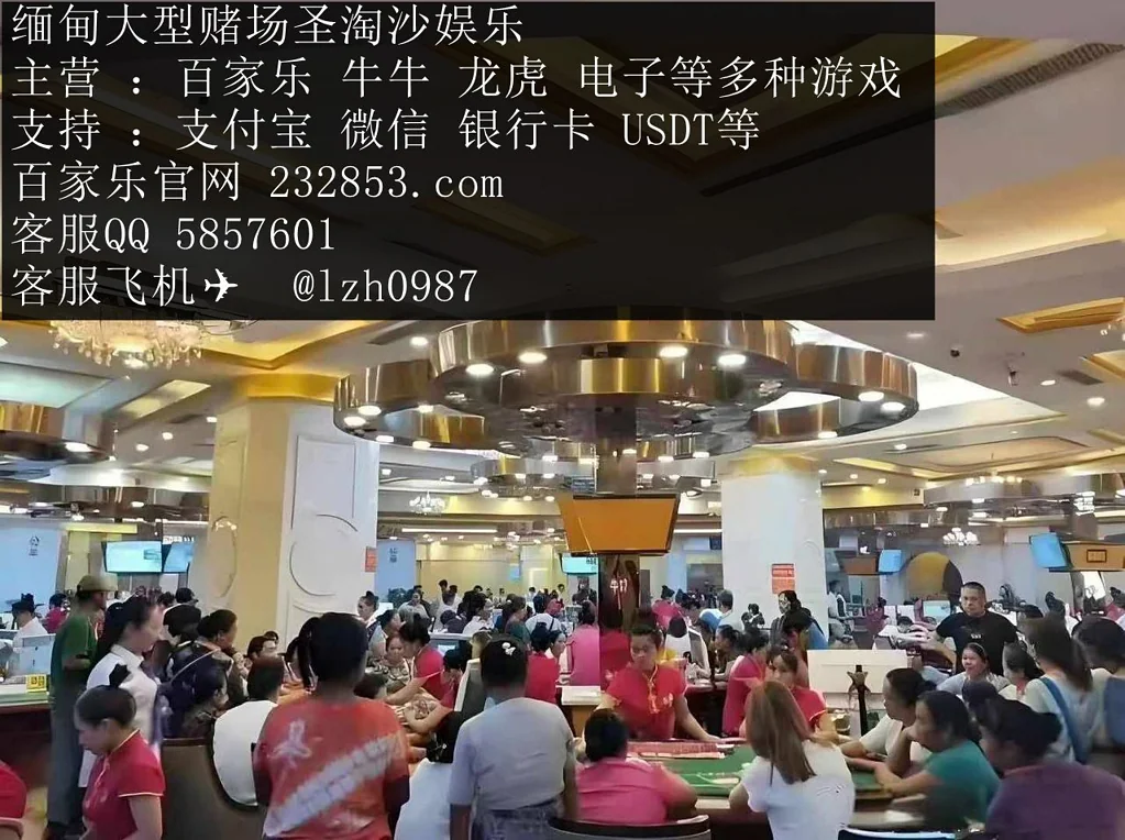 金海国际赌场网投点击咨询开户客服QQ：5857601