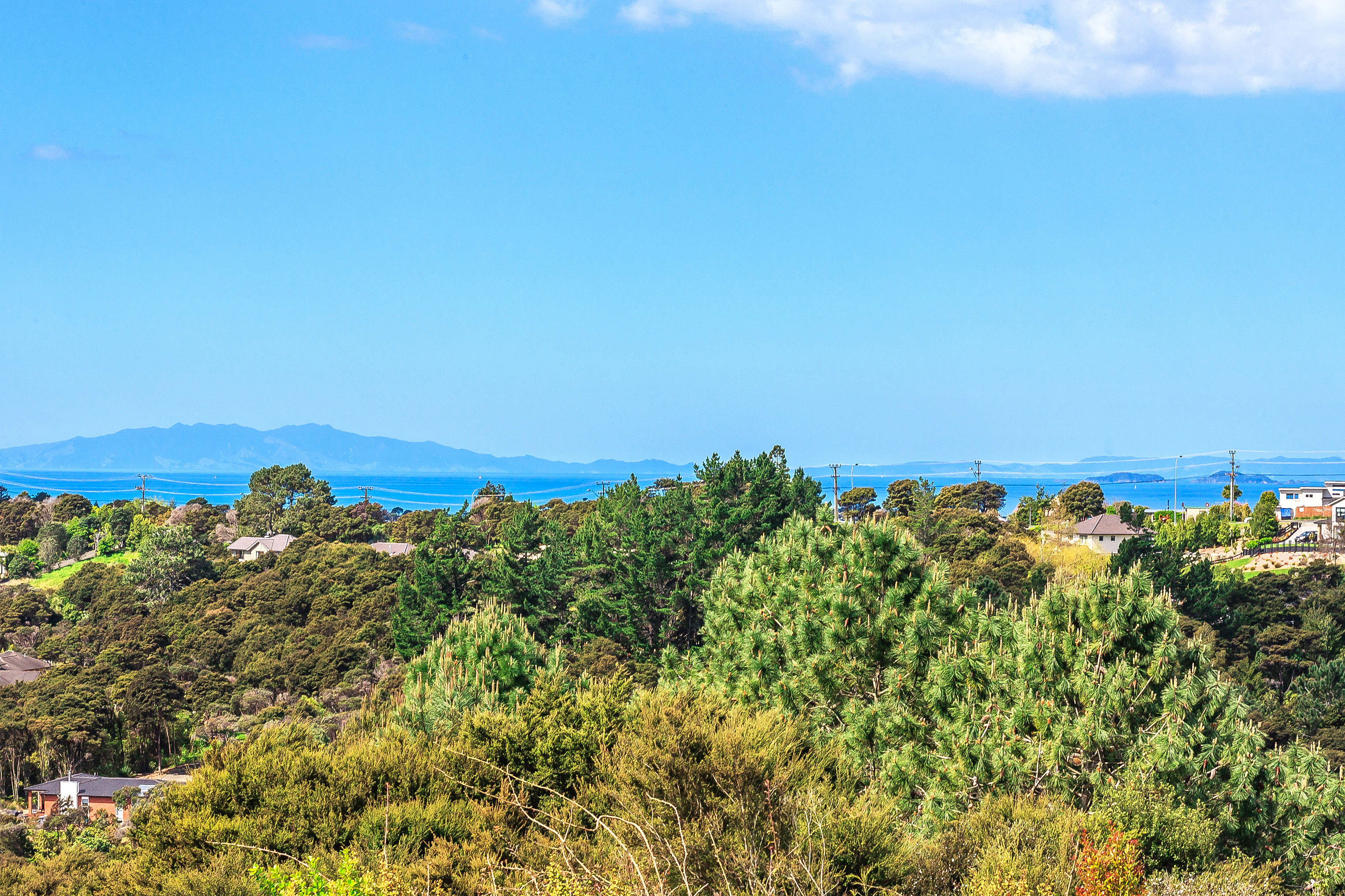 1007 East Coast Road, Redvale, Auckland - Rodney, 4 침실, 0 욕실