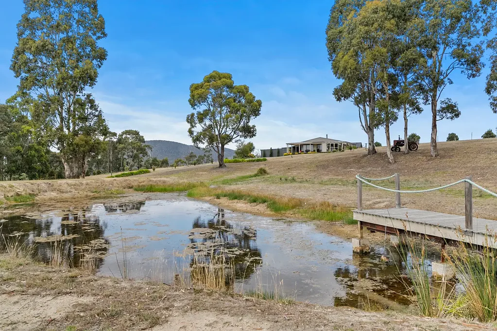 Copping 1房  Rare 100-Acre Lifestyle Holding. Privacy, Space & Serenity 35 Minutes From Hobart