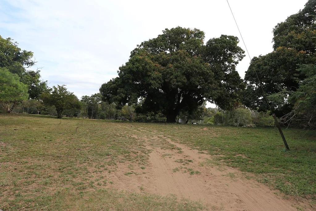 0 JOSKELEIGH RD,, Joskeleigh, QLD 4702
