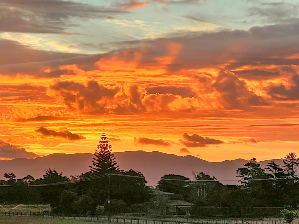 Kahutara Productive patch in Wairarapa's Golden Triangle