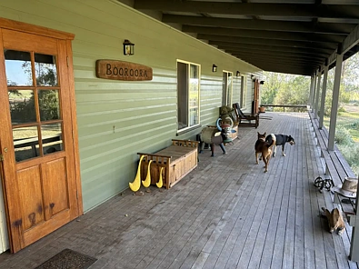 地址保密, Goondiwindi, QLD 4390, 0房, 0浴, Lifestyle Property