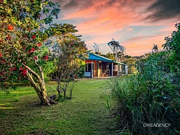 209 Comeback Road, Redpa