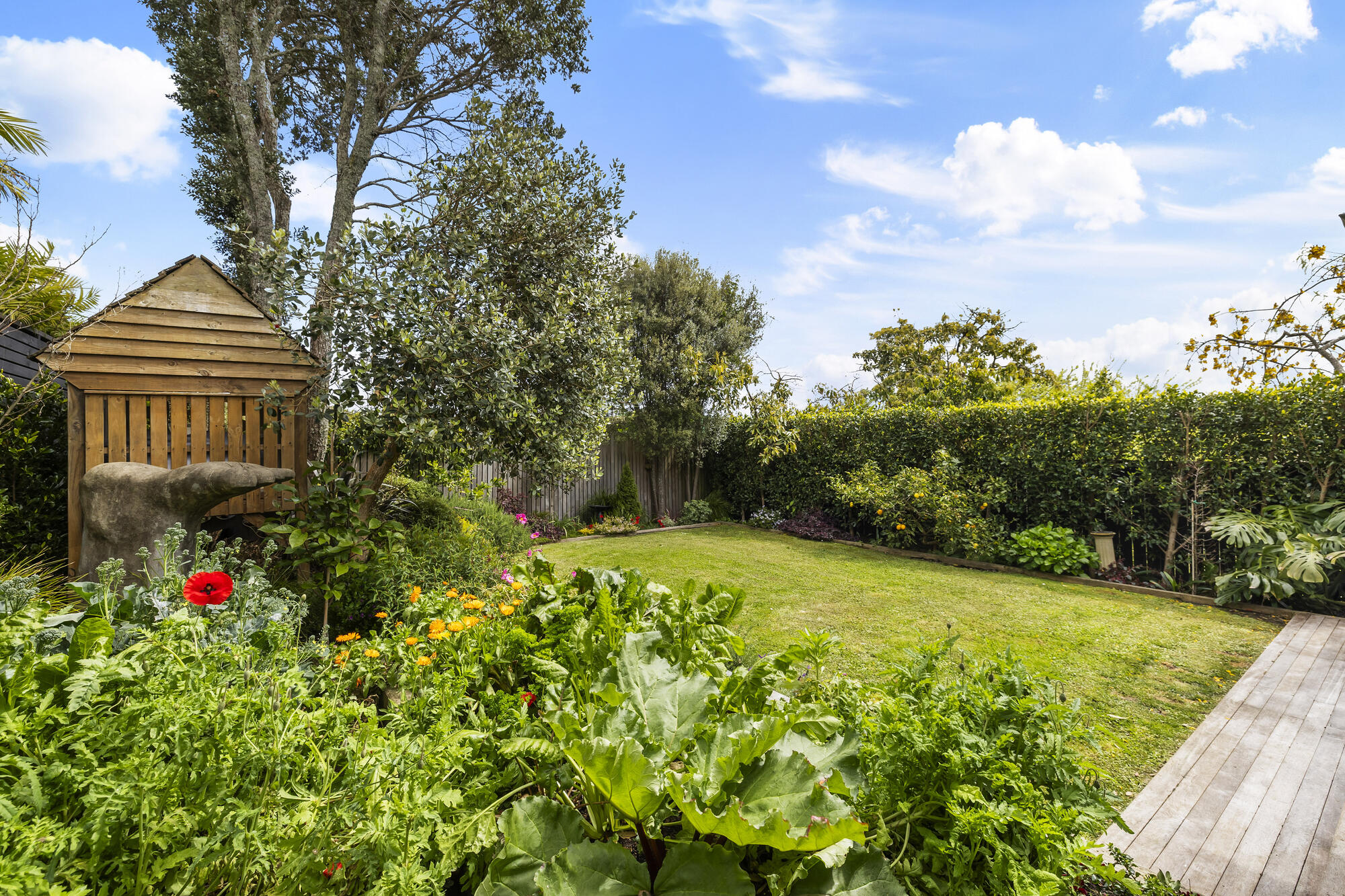 10 Northland Street, Grey Lynn, photo 6