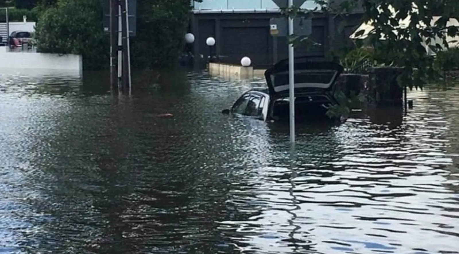 买车赶紧,可能又要涨价啦!奥克兰现大量泡水报废车,会否流入二手交易市场?