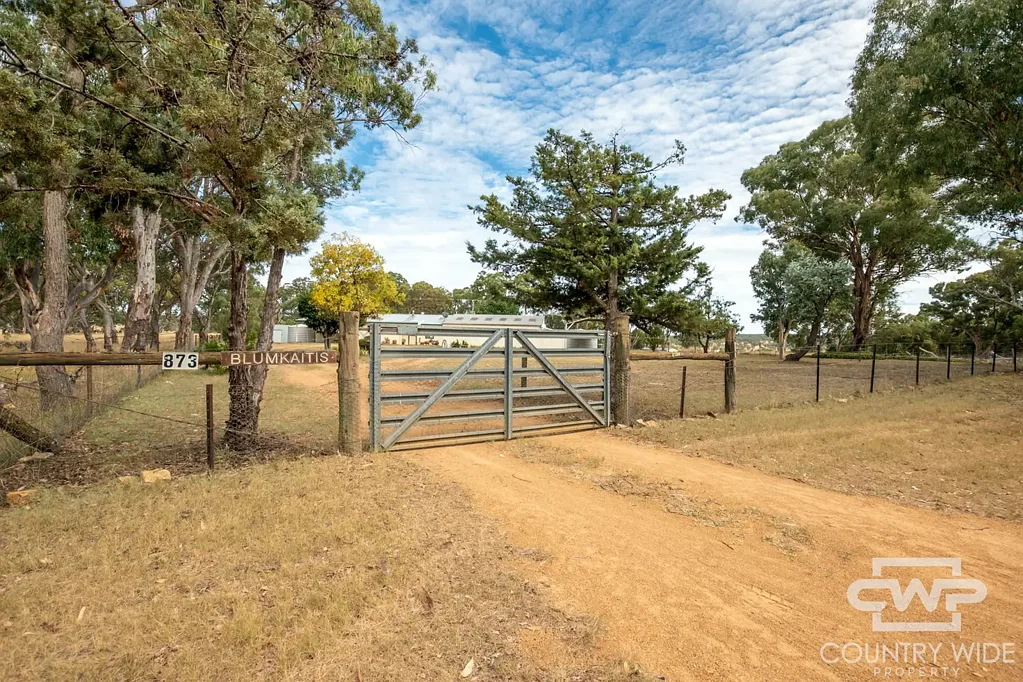 Wellingrove 4房  4 Bedroom Home On 1 Hectare With Wellingrove Creek Frontage