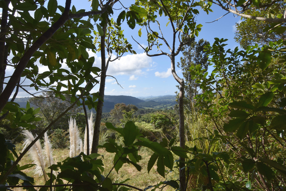 206b Silverstream Falls Row, Whenuakite, Coromandel, 0 Kuwarto, 0 Banyo