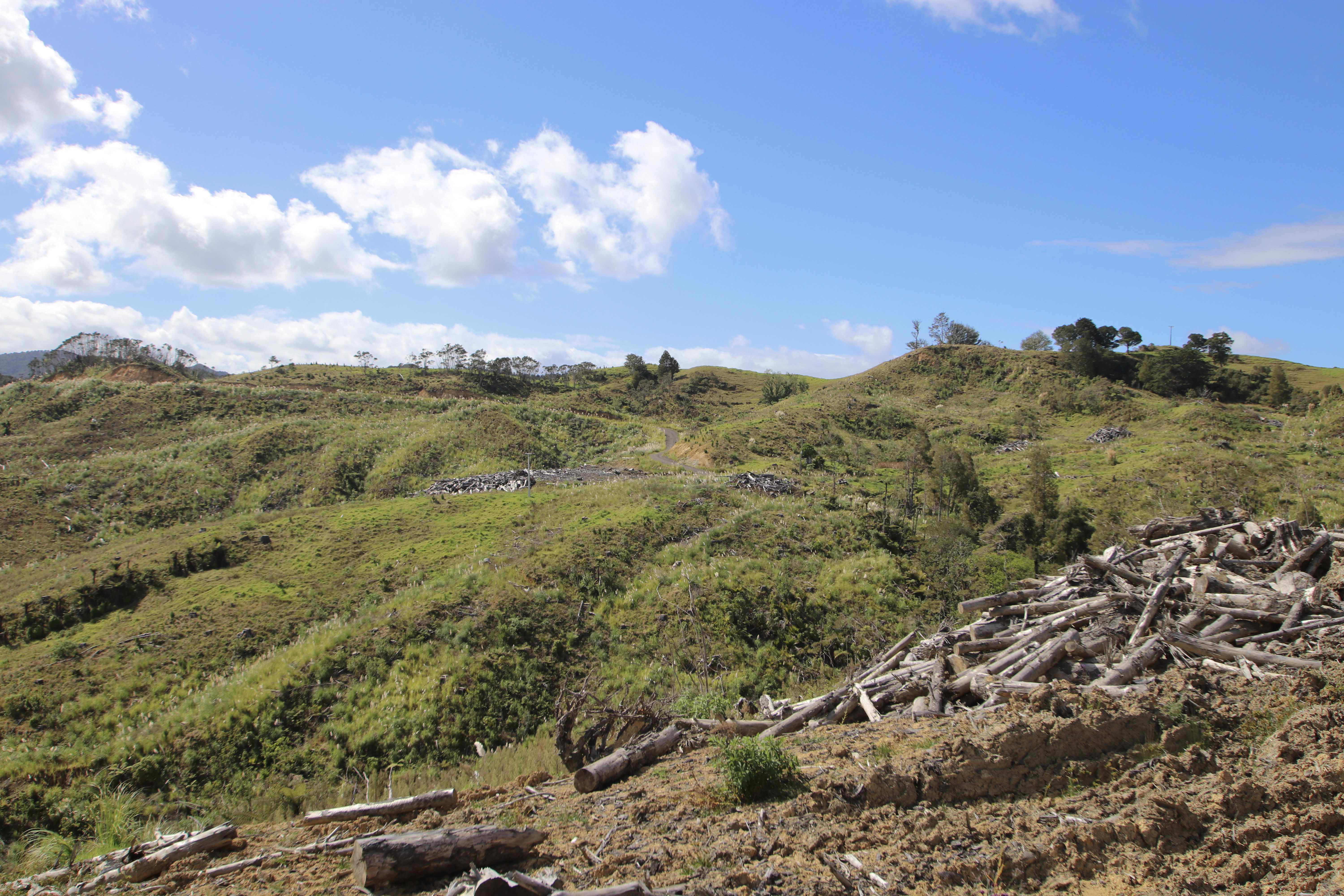 Broadwood Road, Broadwood, Far North, 0房, 0浴, Unspecified