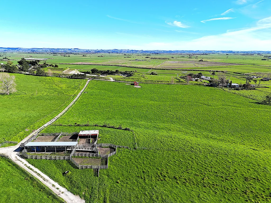 Ruawai 15-Hectare Ready to go Lifestyle Block