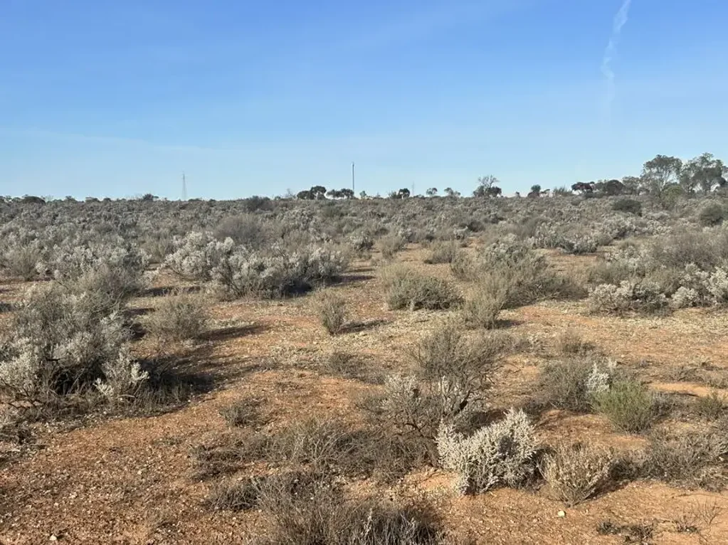 Section 66 Cemetery Road, Morgan, SA 5320