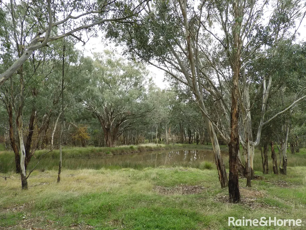 Young LIFESTYLE ACREAGE