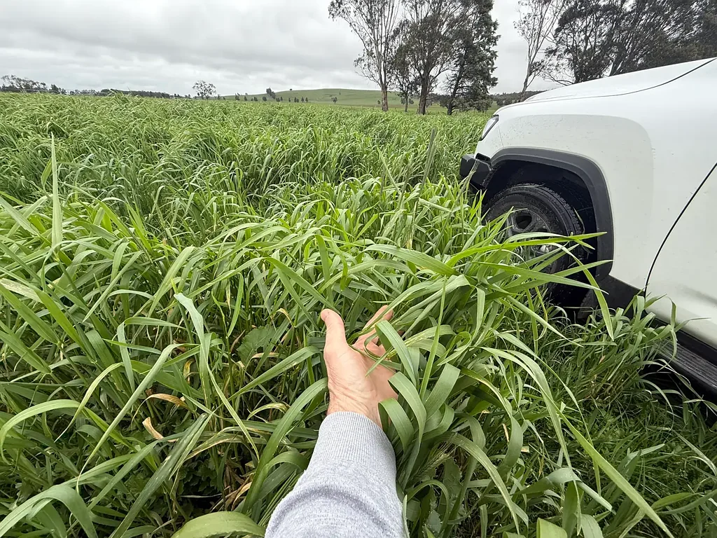 Mount Bolton "Mount Bolton" - 200* Acre Grass Roots Investment!