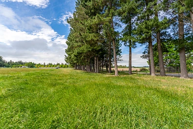 54 Studholme Settlement Road, Waimate, 0 침실, 0 욕실, Lifestyle Section