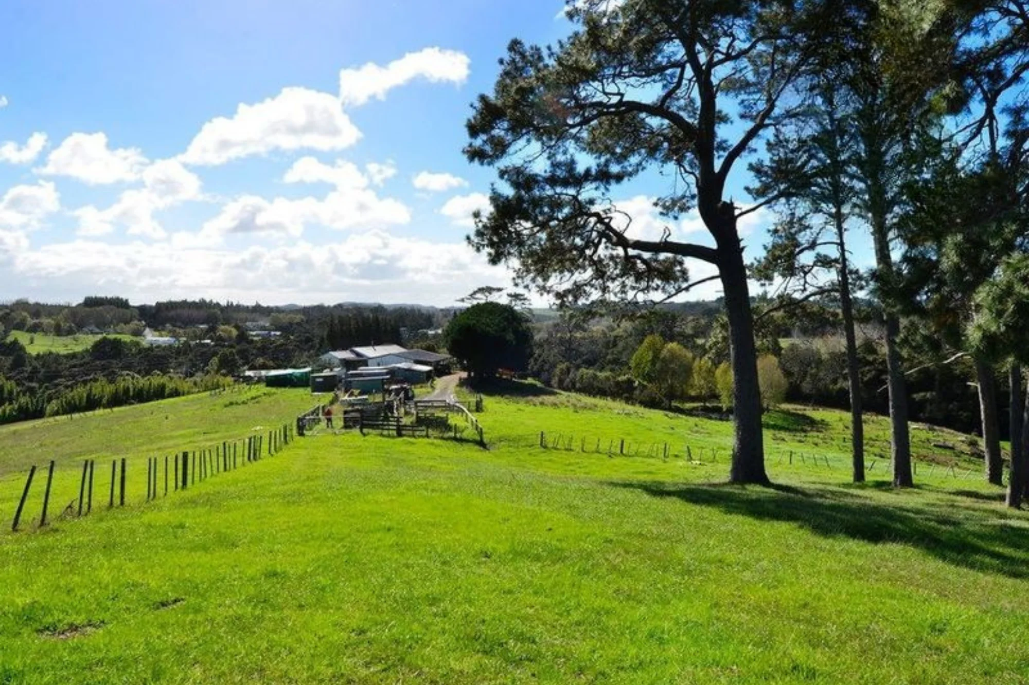 Pine Valley Road, Wainui, Rodney, 3 Schlafzimmer, 1 Badezimmer, Lifestyle Property