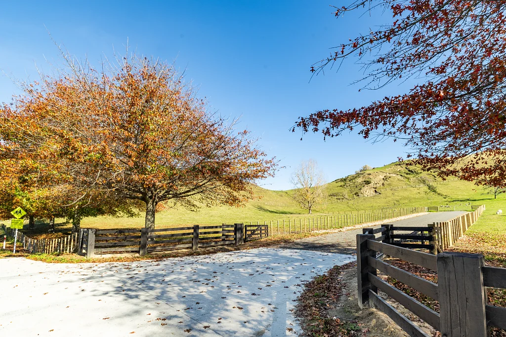 Puketapu A Rare Lifestyle Opportunity