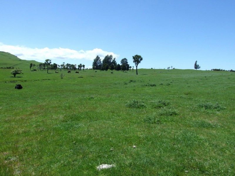 1458 State Highway 41, Kuratau, Taupo, 0 rūma, 1 rūma horoi